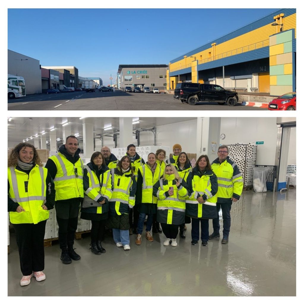 Successful Completion of the Food Zone Project