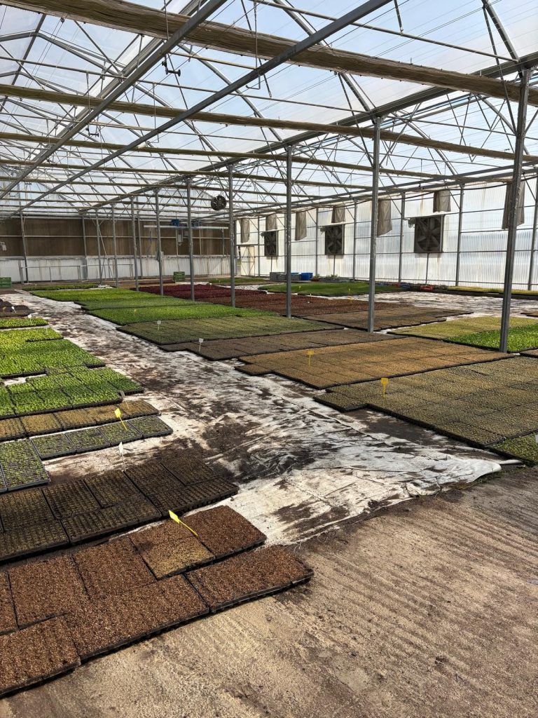 Nicosia Tourism Board explores industrial tourism opportunities in the Region 